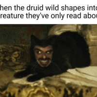 druid-wild-shapes-into-creature-theyve-only-read-about.png