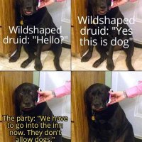 druid-yes-wildshaped-druid-hello-this-is-dog-party-have-go-into-inn-now-they-dont-allow-dogs.jpg