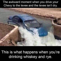 1728329509183.png