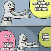 meme 5.jpg
