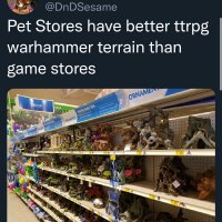 462767540_1002709281895474_3106668487560659677_n.jpg