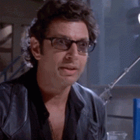 1729204954401.gif