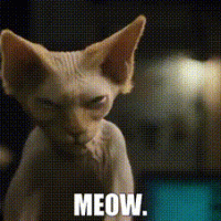 1729927763541.gif