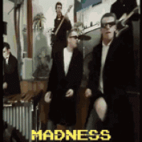 madness-madness-band.gif