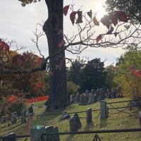 IMG_7039.jpeg
