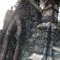 IMG_7066.jpeg