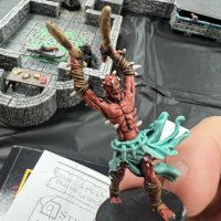 IMG_0952.jpeg