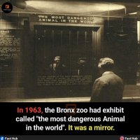 1000001159.jpg