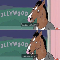1731604842376.png