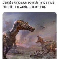 1000001247.jpg