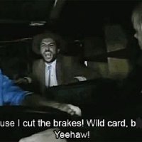 wildcard.jpg