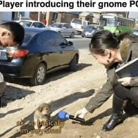 62-player-introducing-their-gnome-pc-cinfinitedoggom-ok-so-basically-im-very-smol.png