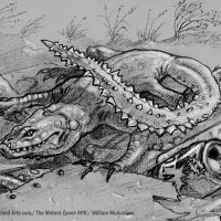 TME-creature-EM-tiny-terrors-Blade-tailed-Skink-web.jpg