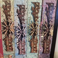 IMG_1497.jpeg