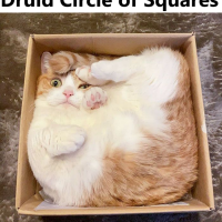 Circle of Squares.png