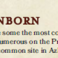 1734393190522.png