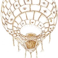 titanosphere.jpg