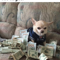 Djinn dog.png