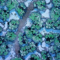 Snowy-Forest-Path-Vol6-Gridded-26x39-MapPublic.jpg