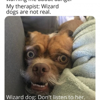 1734756477831.png