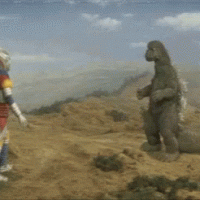 1735019234903.gif