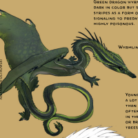 snecko.png