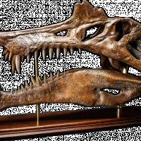 1735515604110.png