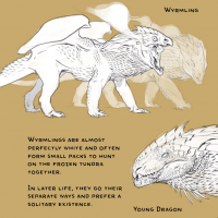 white dragon young.png