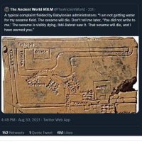 IMG_0815.jpeg