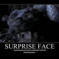 stupid_surprised_panther_face_by_ljphil_d38fvs2-fullview.jpg