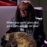IMG_0825.jpeg