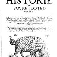 Gorgon Topsell book.jpg