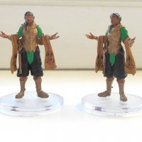 D&D-Icons of the Realms-Fizban's Treasury of Dragons-02 - Dragon Blessed 01.jpg