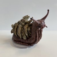 Bone Whelk.jpg
