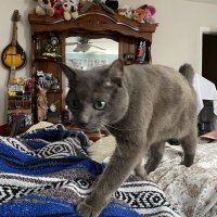 IMG_5608.jpeg