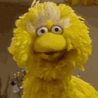 1738326933252.gif