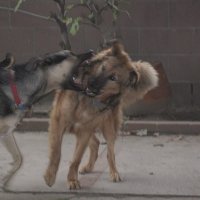 IMG_0674.JPG