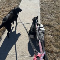 IMG_1338.jpeg
