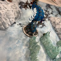 IMG_1381.jpeg