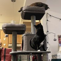 IMG_1040.jpeg