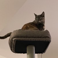 IMG_1021.jpeg