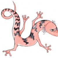 eye salamander.jpg