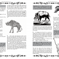 Boar.png