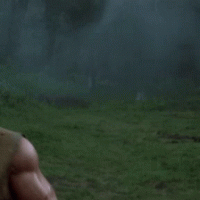1739563484405.gif