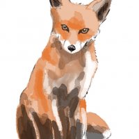 fox.jpg