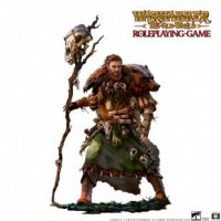 tow-warhammer-the-old-world-rpg-human-elementalist-550x309.jpg