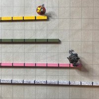 measuring-sticks1.jpg