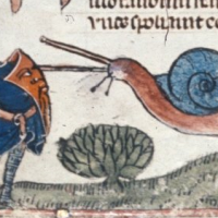 FightingSnails2-3074887848.png
