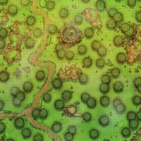 Kingdom-Forest-Roads-Vol2-Gridded-52x78-MapPublic.jpg