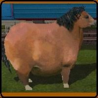 10x10 horse.JPG